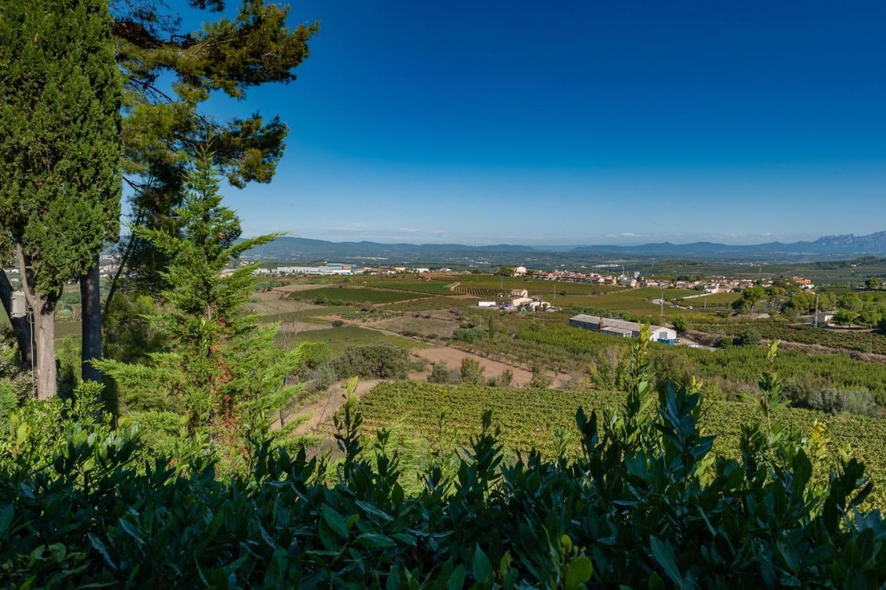 Cal Mestre Casa Rural Avinyonet del Penedes Εξωτερικό φωτογραφία